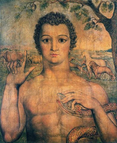 blakeadamnamingbeasts