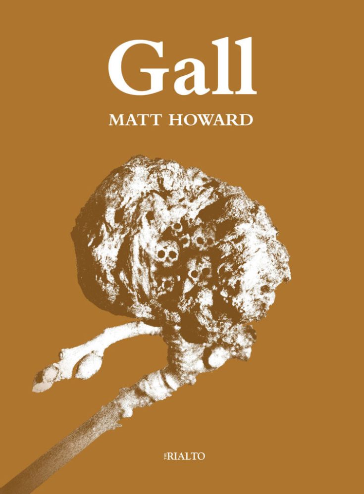 Gall-cover-Matt-Howard-1200px-755x1024